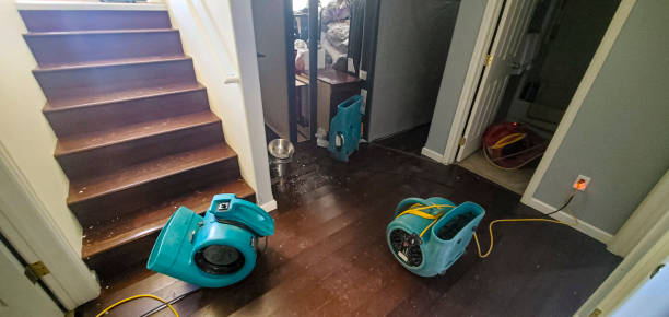 Best Water damage restoration near me  in Hamburg, AR