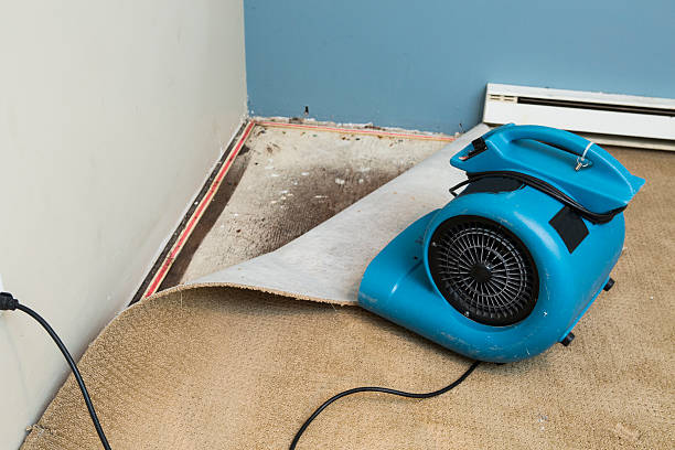 Professional Water damage restoration in Hamburg, AR